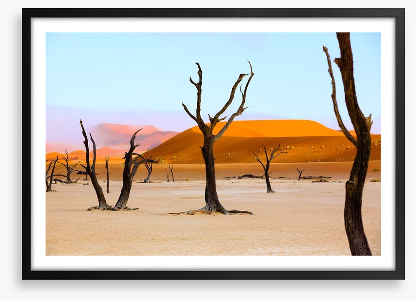 The deserted desert