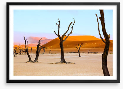 The deserted desert