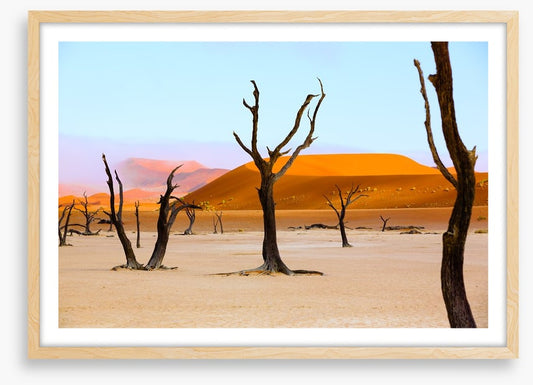 The deserted desert