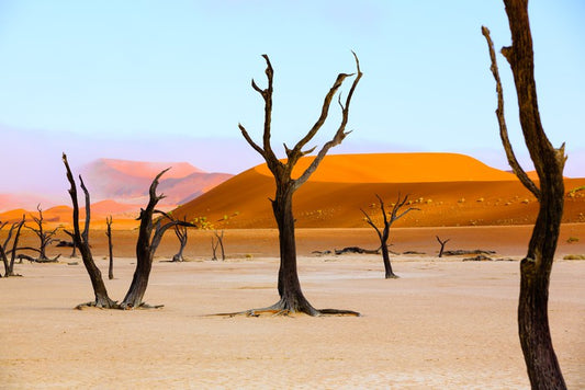The deserted desert