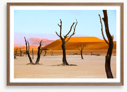 The deserted desert
