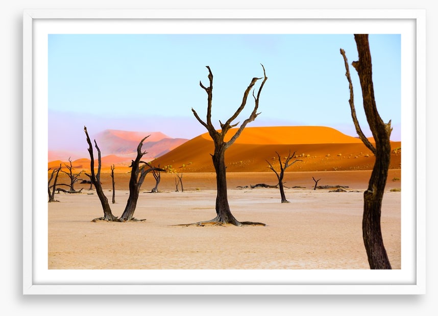 The deserted desert