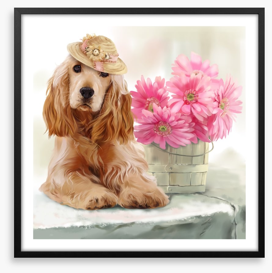 Springtime spaniel