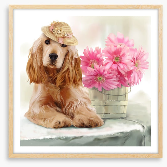 Springtime spaniel
