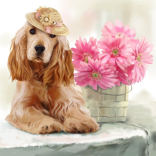 Springtime spaniel
