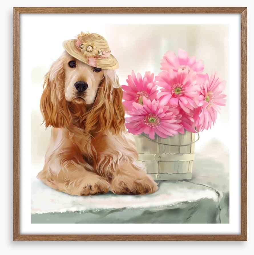 Springtime spaniel