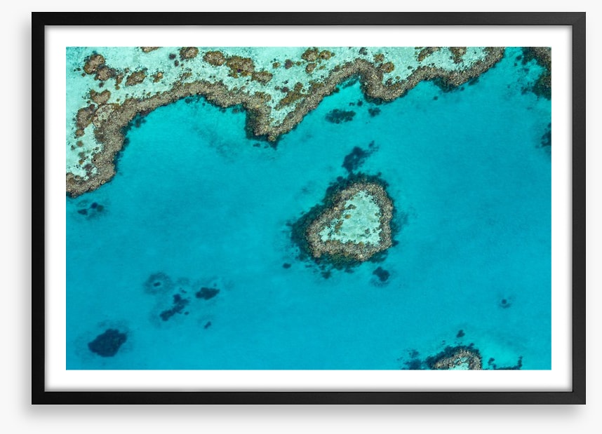 Coral reef heart