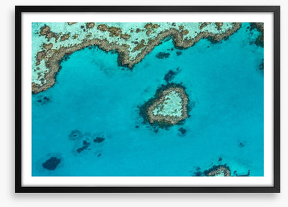 Coral reef heart