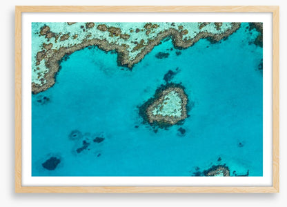 Coral reef heart