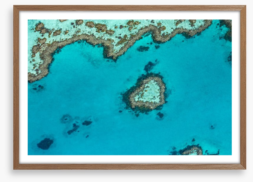Coral reef heart