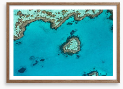 Coral reef heart