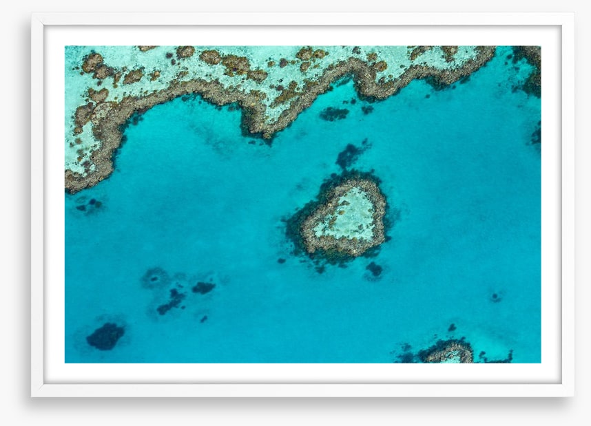 Coral reef heart