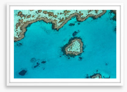 Coral reef heart