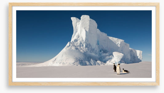 Glaciers