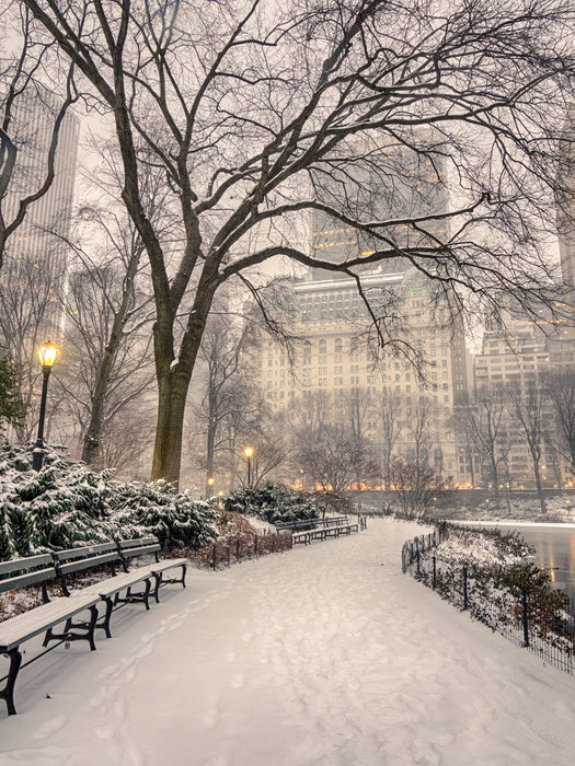 The magic of Manhattan