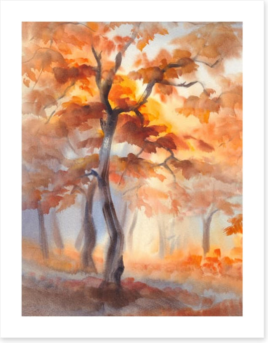 First light