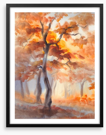 First light