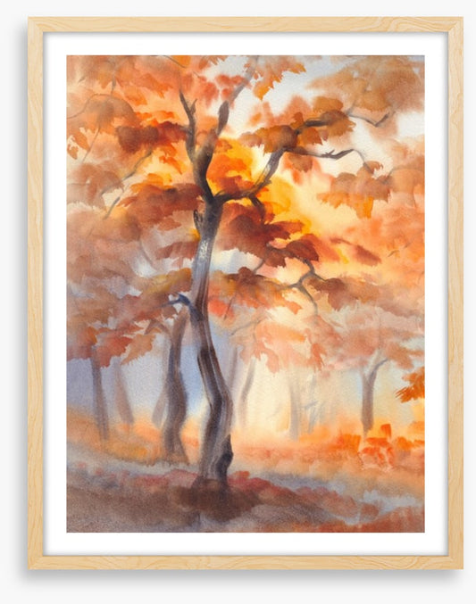 First light