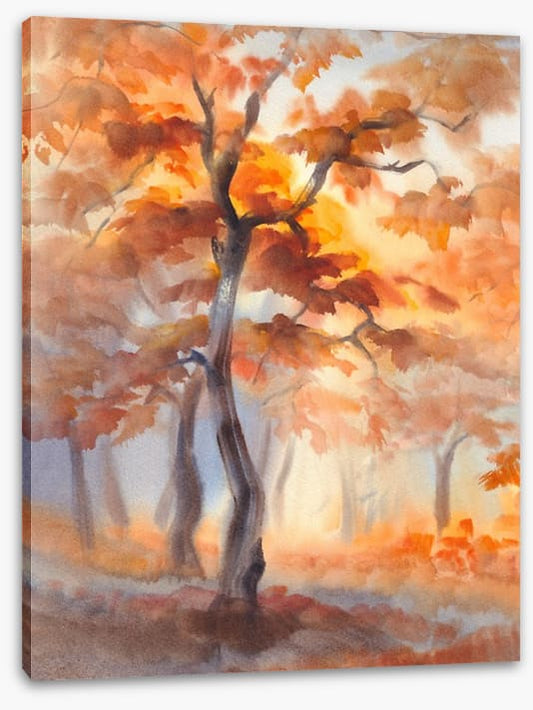 First light