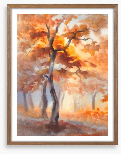 First light