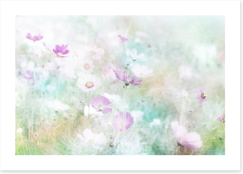 Hazy days of spring