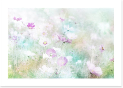 Hazy days of spring
