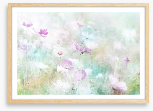 Hazy days of spring