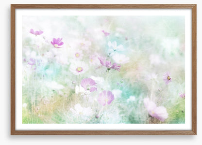 Hazy days of spring