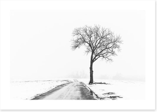 Towards freezing