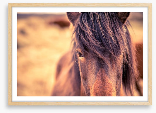 Chestnut bangs