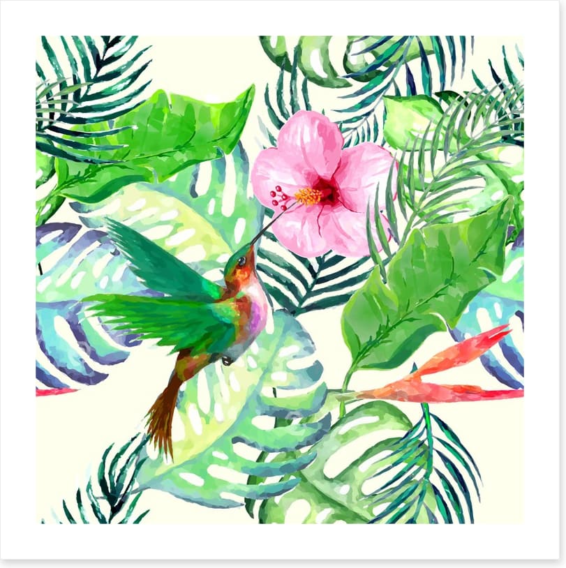 Hummingbird delight