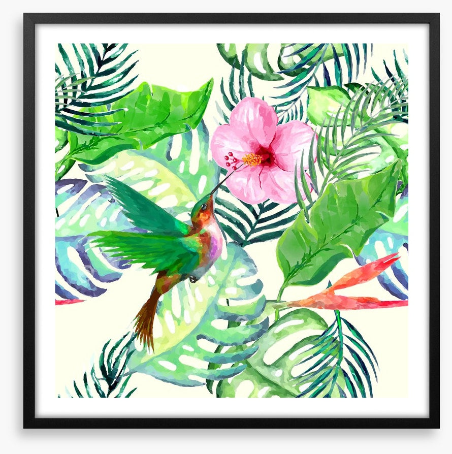 Hummingbird delight