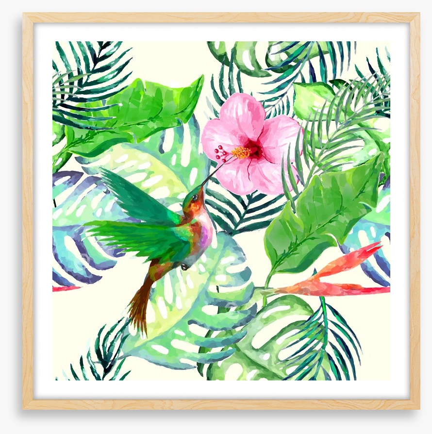 Hummingbird delight