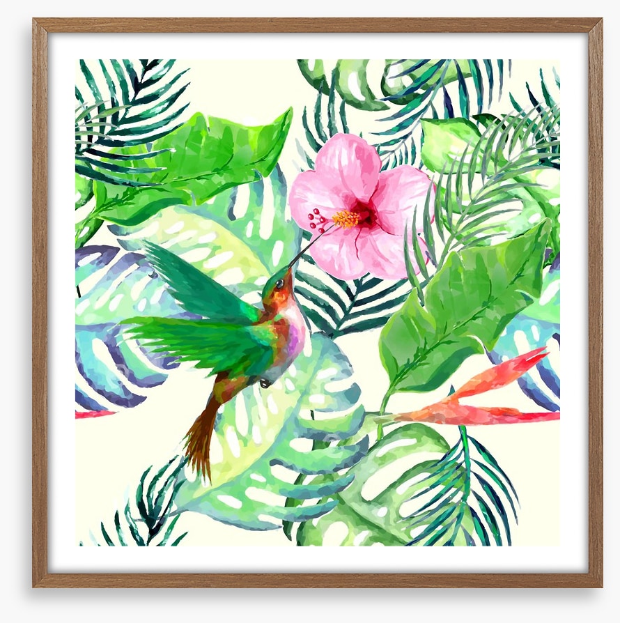 Hummingbird delight