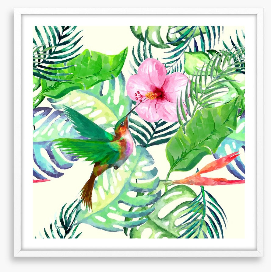 Hummingbird delight