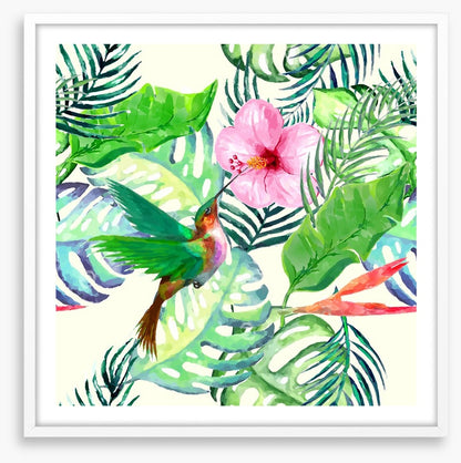 Hummingbird delight