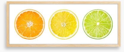 Ready steady citrus