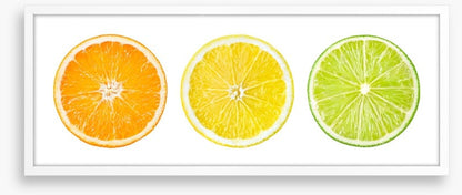 Ready steady citrus