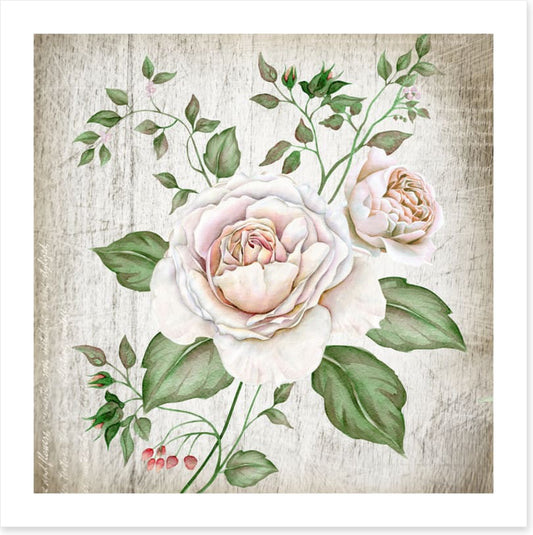 Tea rose two