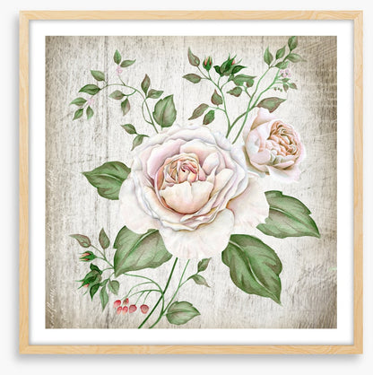Tea rose two