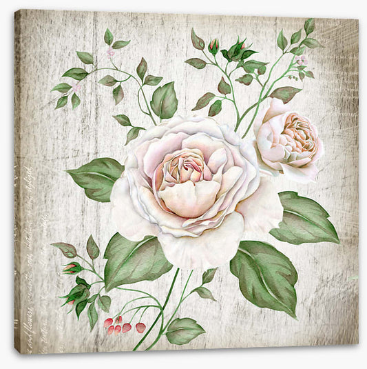 Tea rose two