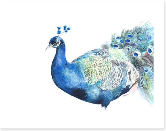 Peacock pose