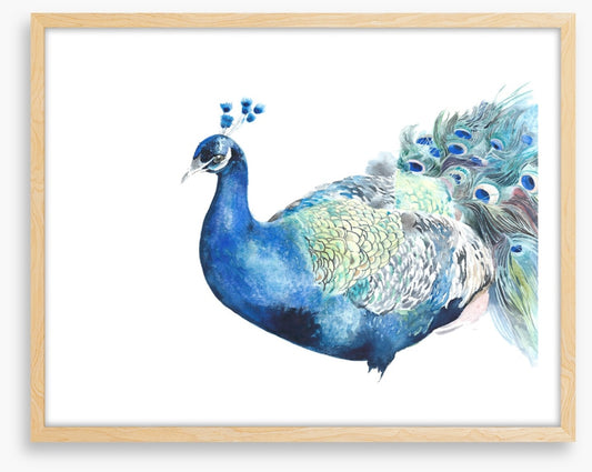 Peacock pose
