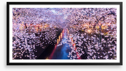 Canal of blossom