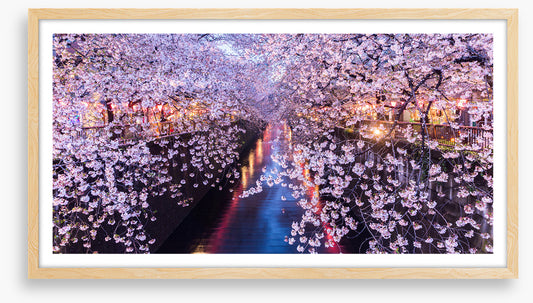 Canal of blossom