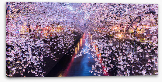 Canal of blossom