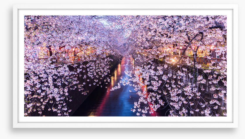 Canal of blossom