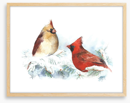 Cardinal chill
