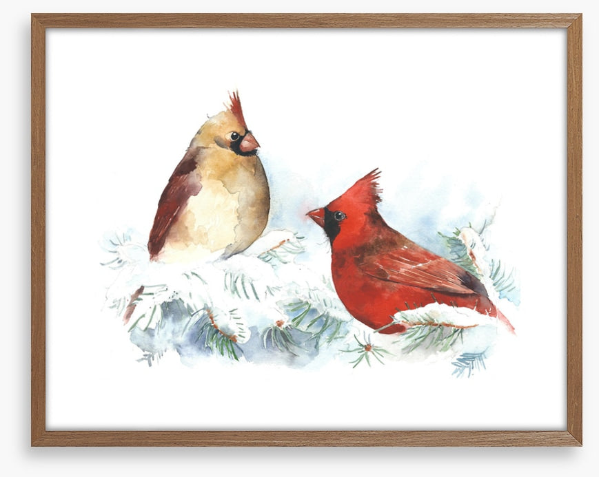 Cardinal chill