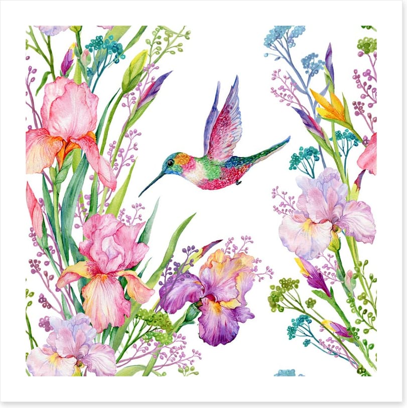 Iris and hummingbird